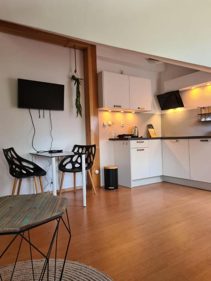 Willa Tini Sauna Basen Gościno Buitenkant foto