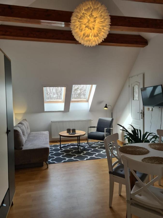 Willa Tini Sauna Basen Gościno Buitenkant foto