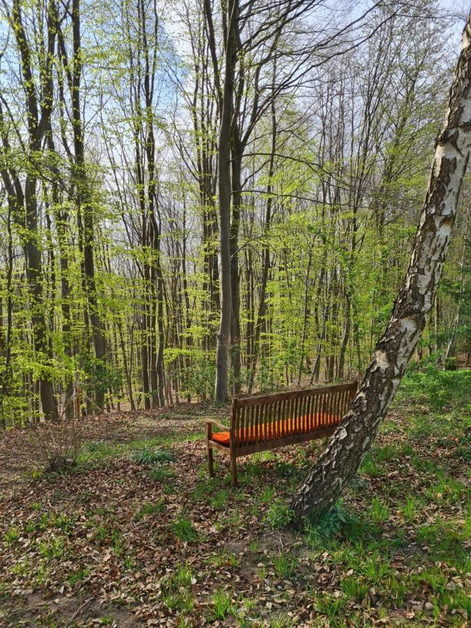 Willa Tini Sauna Basen Gościno Buitenkant foto