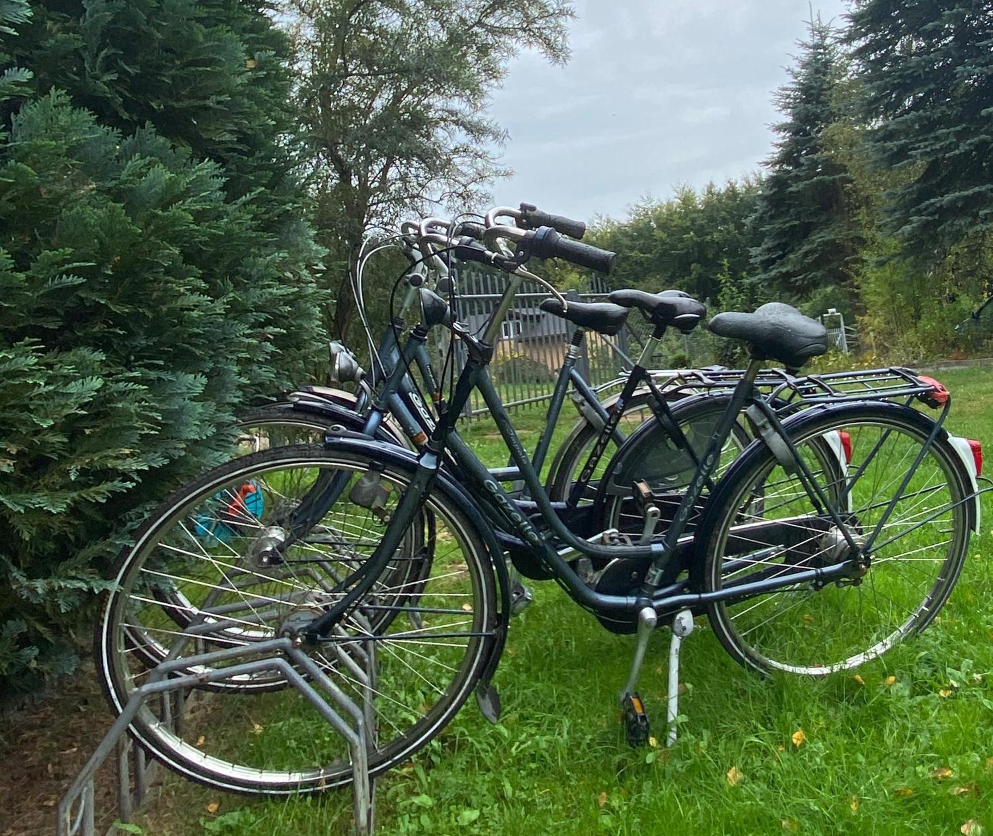 Willa Tini Sauna Basen Gościno Buitenkant foto