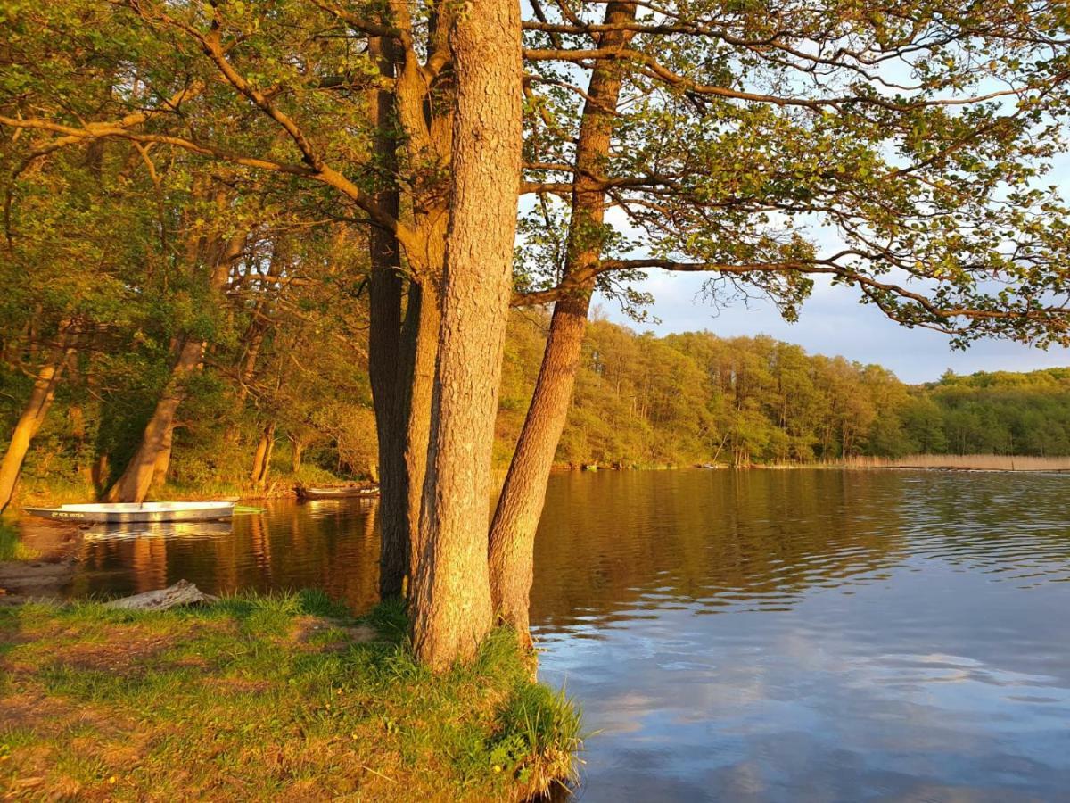 Willa Tini Sauna Basen Gościno Buitenkant foto
